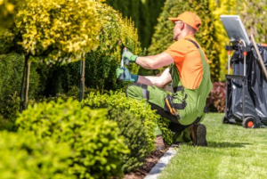 garden maintenance hire Adelaide